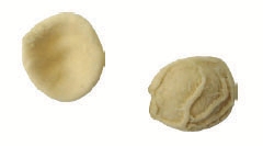 Orecchiette 500g - 235