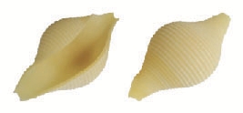 Conchiglie Giganti 500g - 249