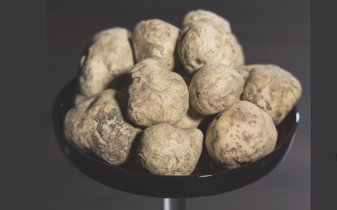 Pourquoi Simeoni choisit la truffe fraîche de première catégorie